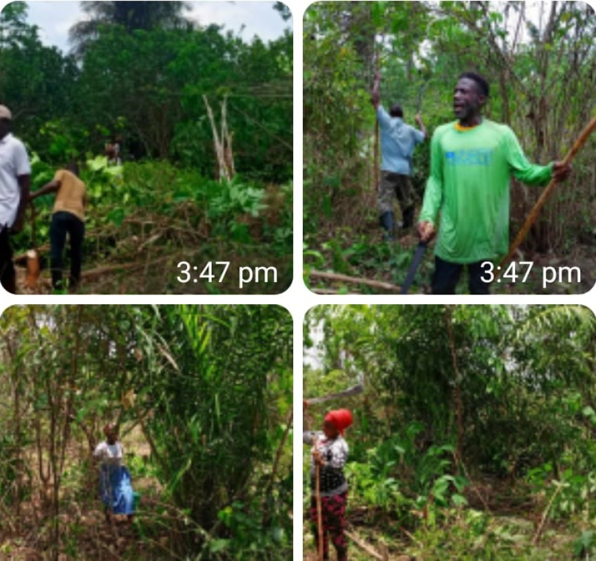 Global Village Connection-Liberia Foundation Engages In Agricultural Activities in Margibi