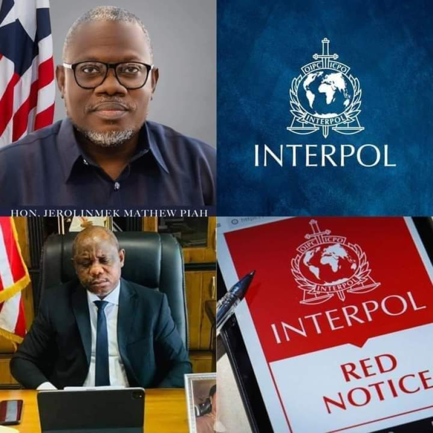 Govt. Issues Interpol Alert For Former Finance Minister