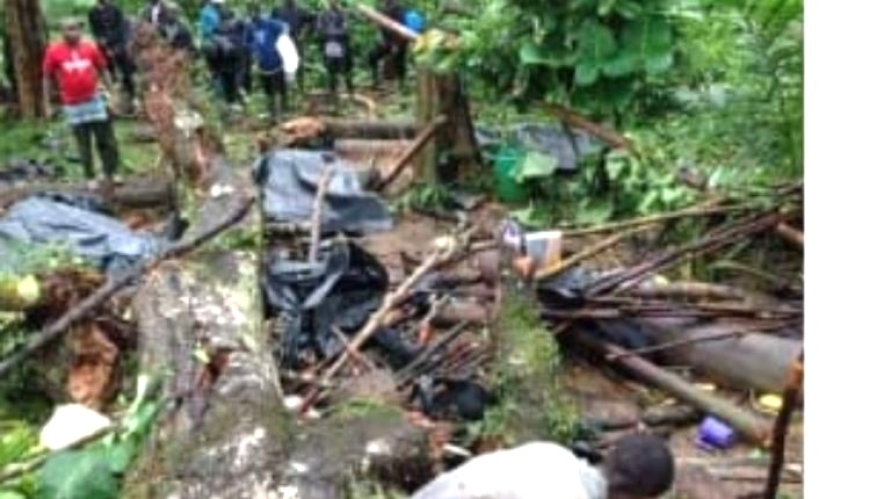 Three Dead; Following Tree Fall in Duogee Forest By: Z. Benjamin Keibah