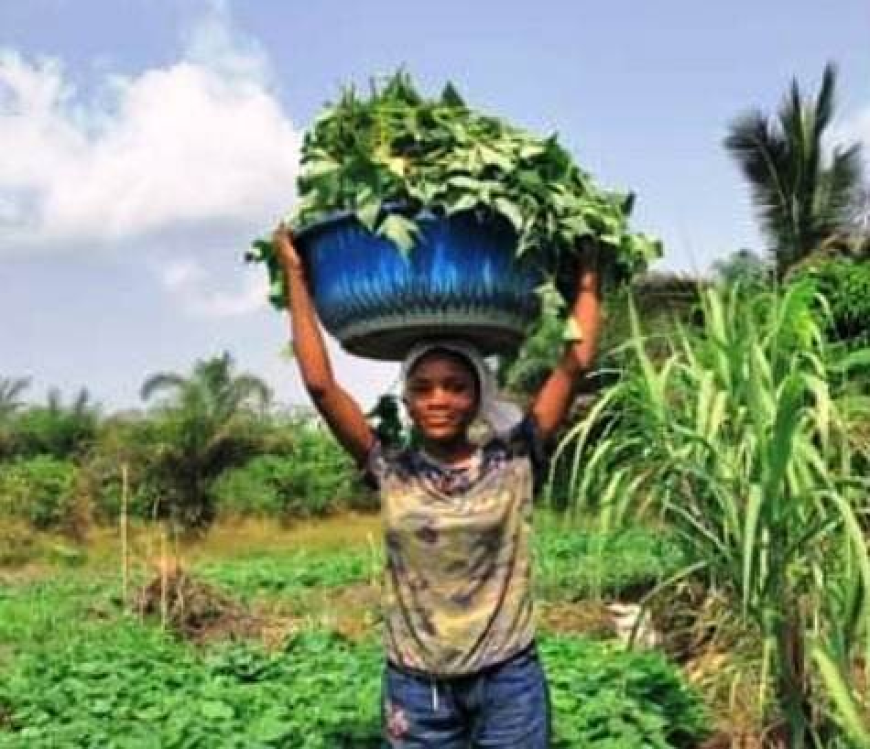 Liberia to Host Second National Land Conference in Ganta