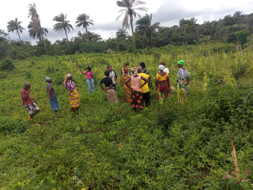 Women Care Initiative Empowers Female Farmers in Bomi County with Tools and Training