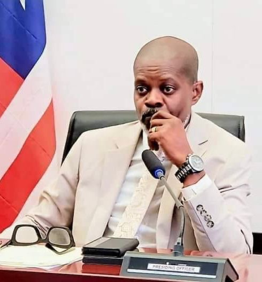 Senator Dillon Urges Senate Investigation into Labor Minister's Work Permit Issuance