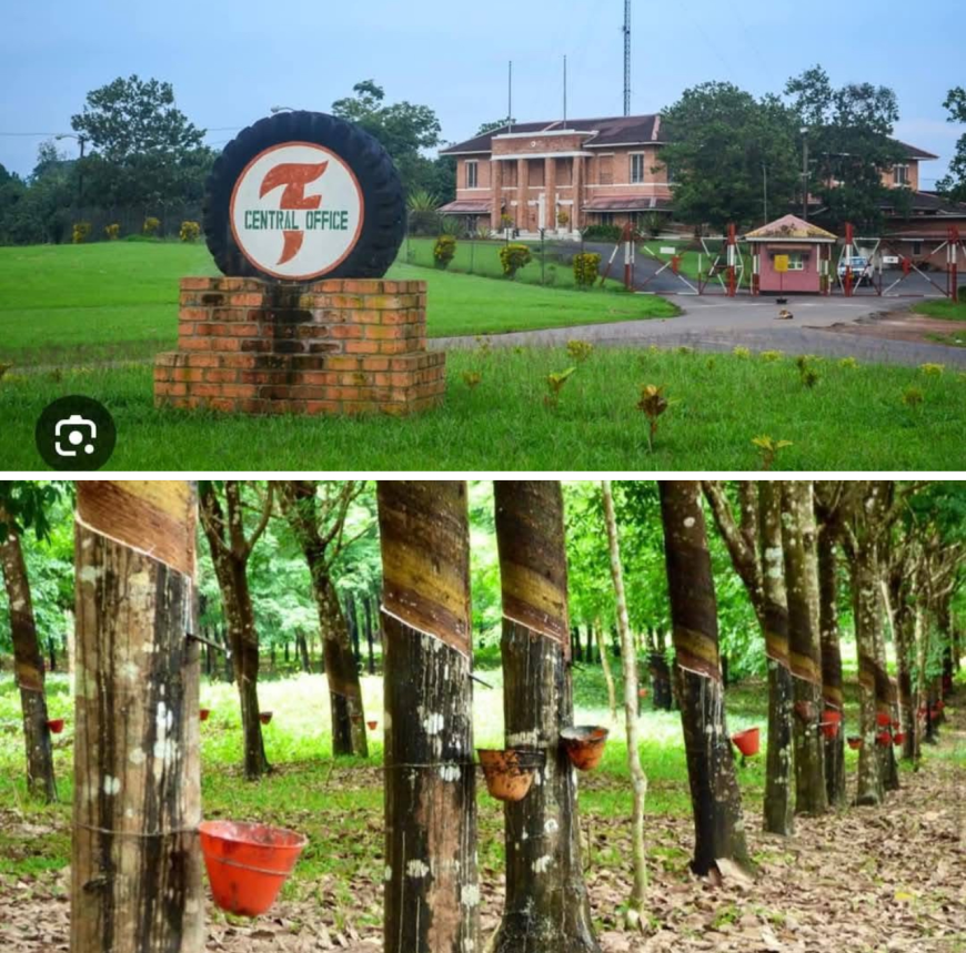 “Workings Halted at Firestone Liberia for Bad Labor Practices,” Workers Union States