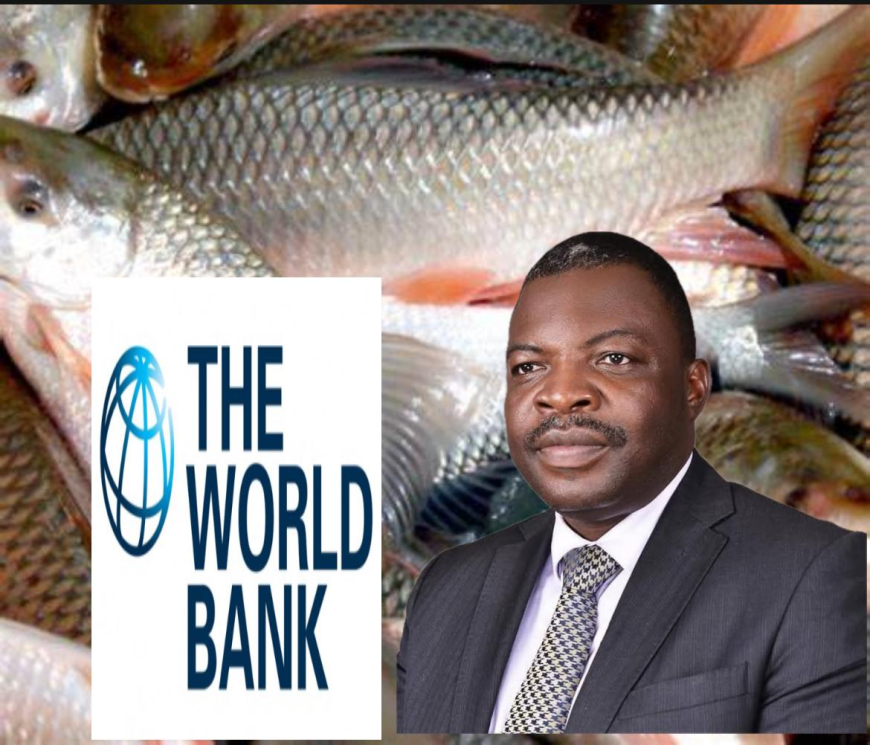 Remodeling Liberia’s Fisheries Industry To Tackle Food Insecurity Challenge