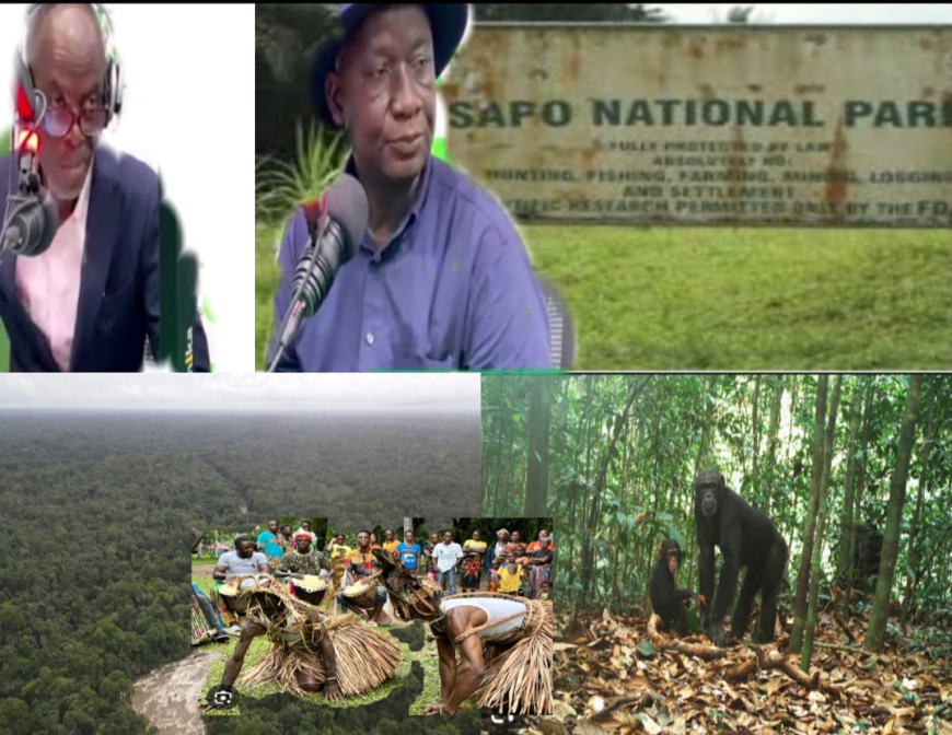 Liberia Forest Media Watch Slams FDA Over Improper Handling of Sapo National Park