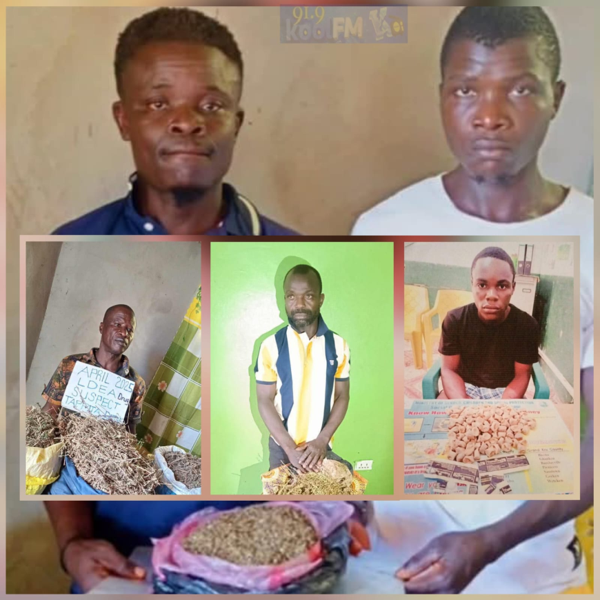 LDEA Tracks Down Dangerous Web of Five Emerging Drug Dealers Across Three Counties, as Drug Networks Expand in Southeastern Liberia