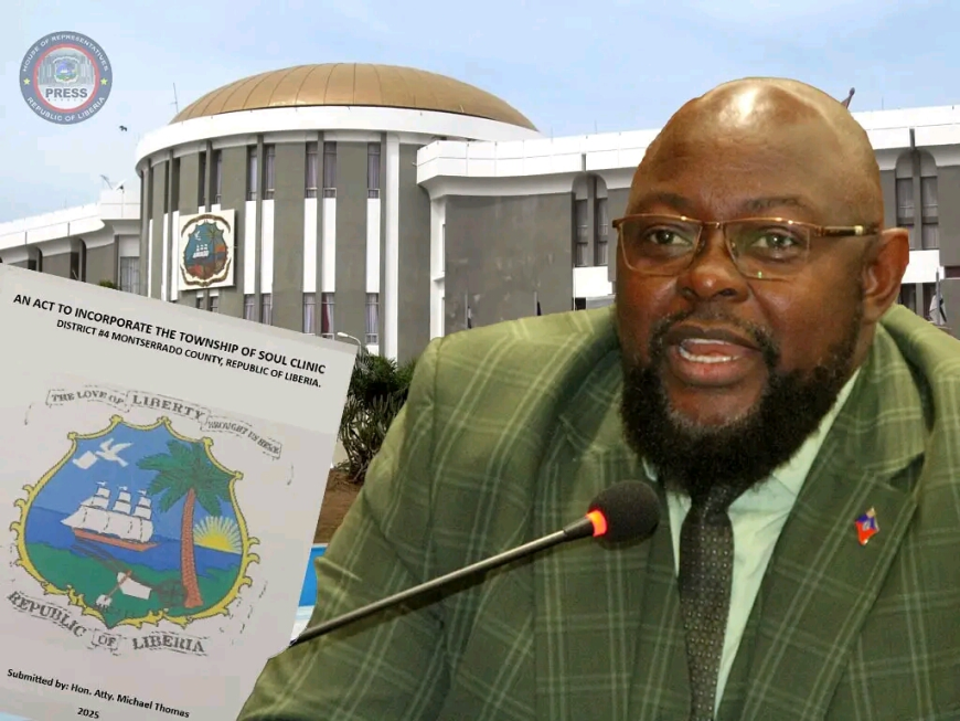 House of Representatives Mandates Several Committees to Scrutinize Bill Seeking Township Status for Soul Clinic Community