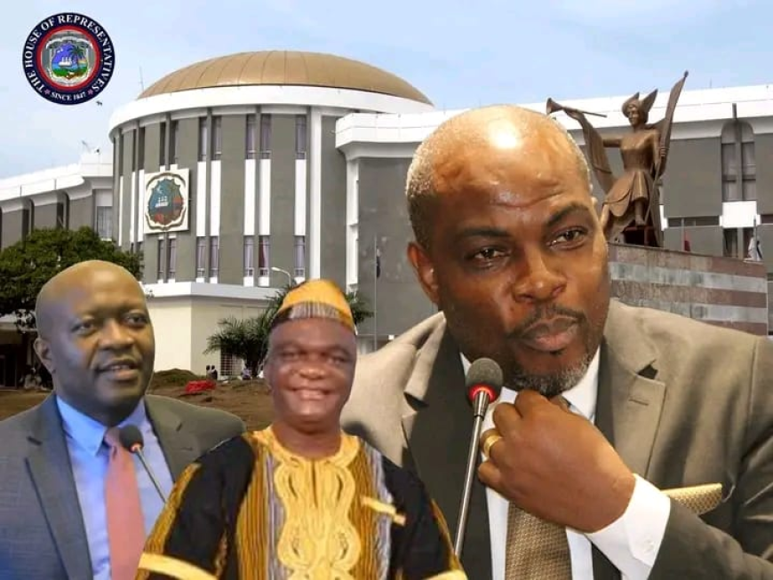 Lower House Joint Committee Poised to Examine Liberia Tax Expenditures