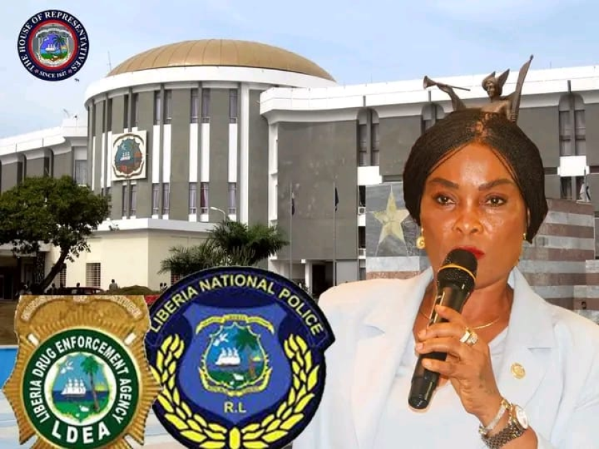 Lower House’s Committee on National Security has received Instruction to Investigate Reported Shortage of Law Enforcement Manpower