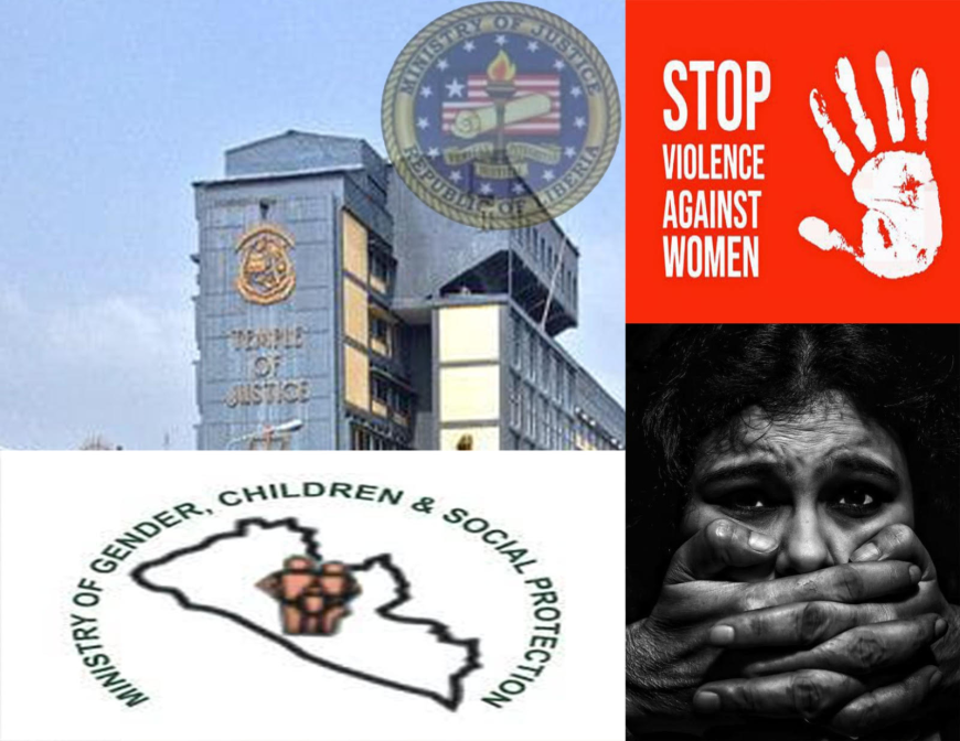 Appeal for Stronger Action, Support for Survivors as Sexual Gender-Based Violence Swells