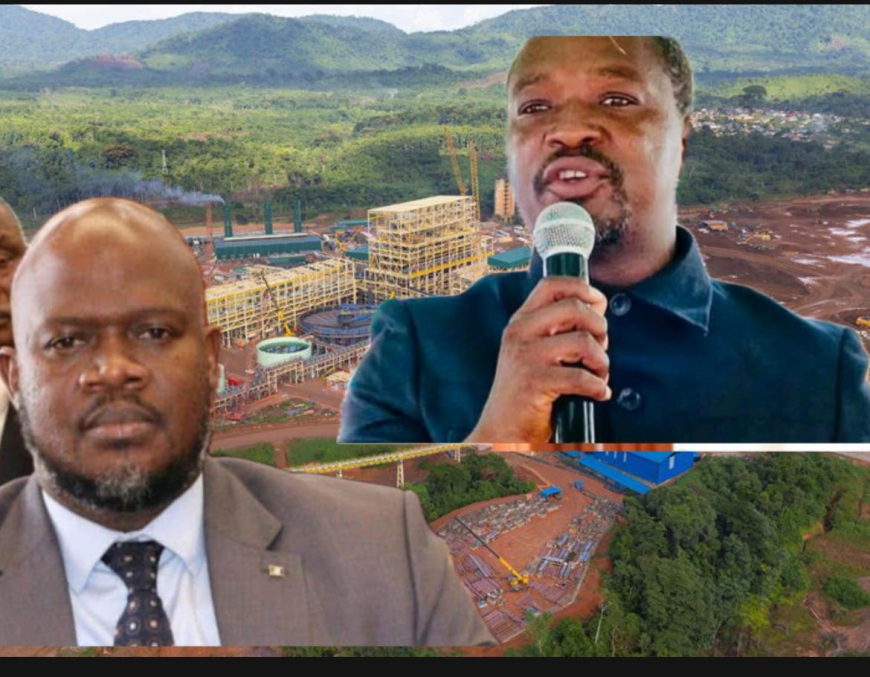'Liar, Not Leader': Activist Blasts Senator Twayen over ArcelorMittal Attacks