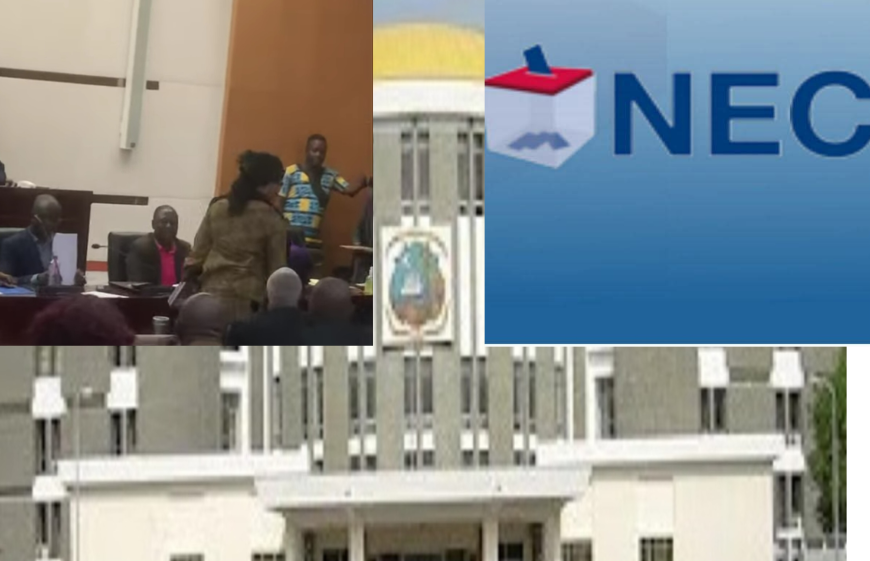 NEC Commissioner Thrown Out of House Hearing Over ‘Disrespect’ as National Identification Card Delays, Stirs Condemnation