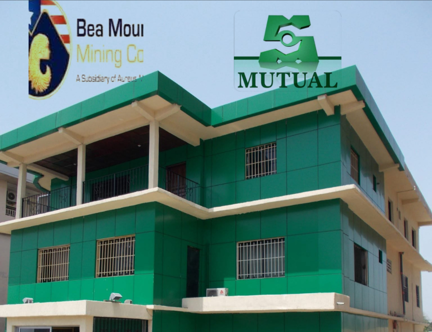 Bea Mountain Wins Big: Court Orders $11.2M from Mutual Benefit Insurance