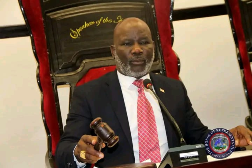 House Speaker Pushes Proposal for Reserved Seats for Women and Persons with Disabilities as the 55th Legislature Climaxes Second Quarter