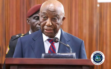 Liberians to Benefit from 3-Year U.S. Visas: President Boakai Applauds Move