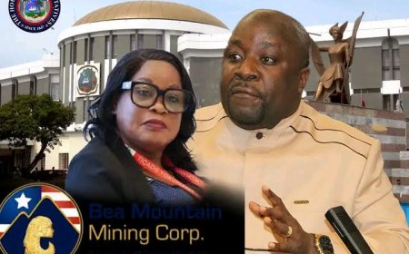 Bea Mountain to Face House of Representatives Scrutiny over Alleged Violation of Liberianization Policy