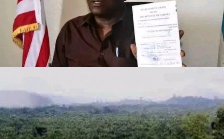 Grand Gedeh Superintendent Raises Concerns about Land Sales to Foreign Nationals