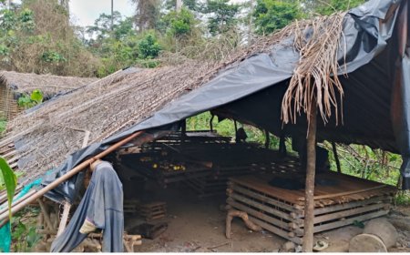 Four Burkinabe Killed in Violent Forest Attacks Near Kparblee