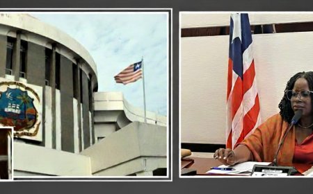 Senate Initiates Scrutiny of US$1.2 Billion 2026 Fiscal Year Draft National Budget  ‎