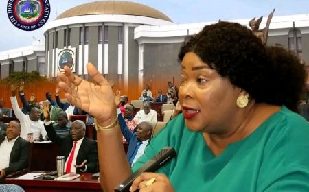 House Sends Controversial FGM Ban Bill to All 73 Districts for Public Scrutiny