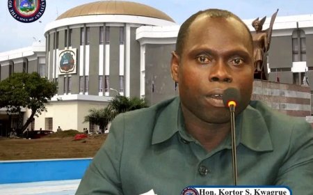 House Commences Analysis of Nimba District #5 Demand for Bigger Budgetary Allotment for Health and Energy