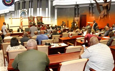 House of Representatives Receives Petition Urging Rejection of Bill to Sanction Sande Society