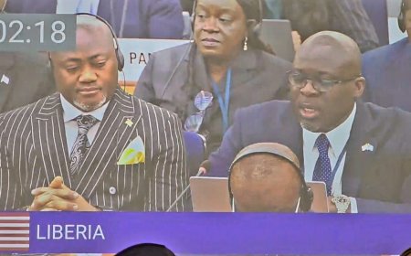 Joyous Christmas Season: Liberia Gets Reelected to Category A Seat on IMO Council at 34th Assembly Session