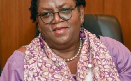 Following the President's Death: UMU Board of Directors Designates Medina A. Wesseh to Head Interim Management Team