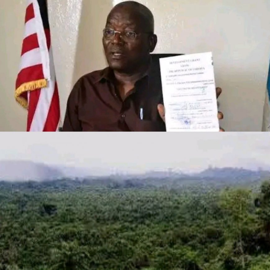 Grand Gedeh Superintendent Raises Concerns about Land Sales to Foreign Nationals