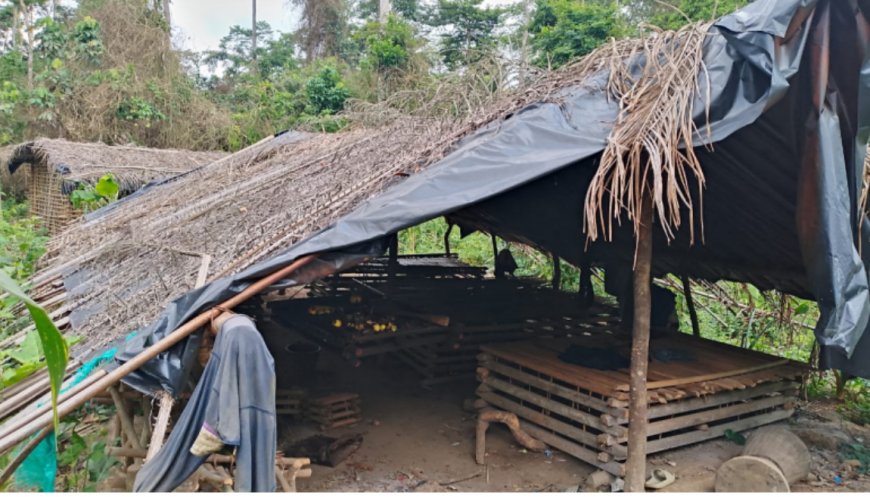 Four Burkinabe Killed in Violent Forest Attacks Near Kparblee