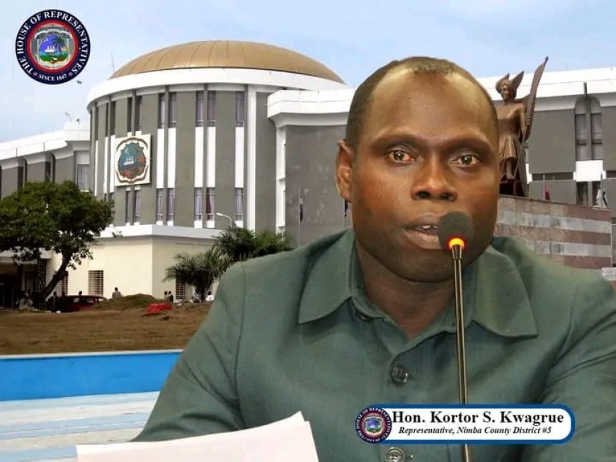 House Commences Analysis of Nimba District #5 Demand for Bigger Budgetary Allotment for Health and Energy