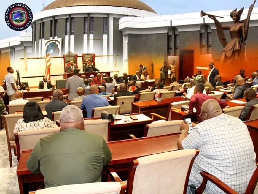 House of Representatives Receives Petition Urging Rejection of Bill to Sanction Sande Society