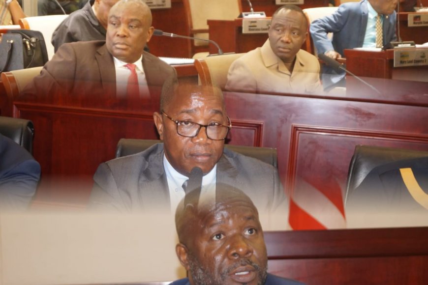 Liberia’s Groundbreaking US$1.2b 2026 Draft Budget Faces Scrutiny as Senate Launches Revenue Investigation