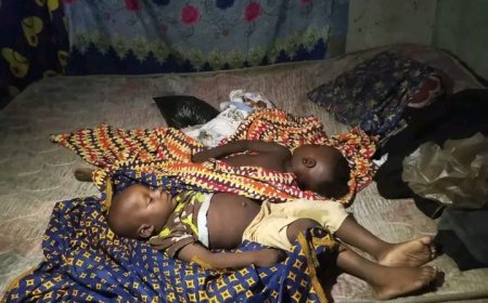 Illegal Power Line Kills Two Children in Paynesville