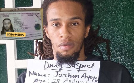 LDEA Arrests Two British Nationals with LRD 21.5M Worth of Cocaine and Marijuana