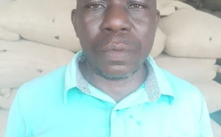 Substantial Trade Group of Companies Earns Media Recognition for Job Creation in the Cocoa Sector