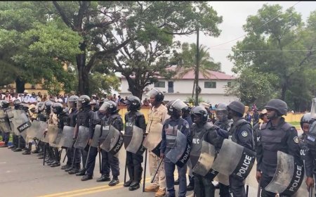 Lead or Leave Protest Leader Morlu Flees as Police Clear Demonstrators in Monrovia