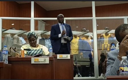 A Dangerous Precedent: Senator Konneh Accuses Senate and Executive of Undermining Liberia’s Oil Future