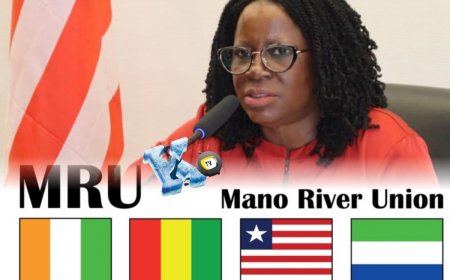 Senate Embraces Entry for Liberia into Mano River Union Parliament