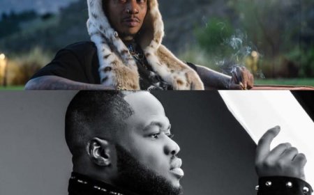 Wiz Khalifa's Sentence Echoes that Celebrities are not Immune to the Law - A Sharp Reminder of the Bucky Raw case