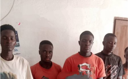 Five Arrested Over Alleged Gang Rape of 21-Year-Old Woman in Voinjama
