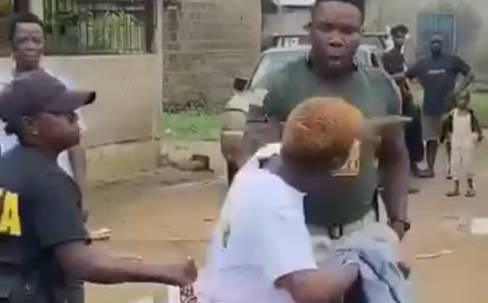 BREAKING NEWS  LDEA Dismisses Two Officers After Viral Assault on Female Suspect