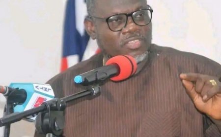 Government Confirms Plans for Liberia’s First Large-Scale Starch Plant