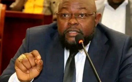 Rep. Thomas Pushes Landmark Bill to Establish Paynesville Comprehensive Referral Hospital