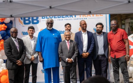 Blueberry Travel Agency Enters Liberia, Promising Tech-Driven Boost to Tourism