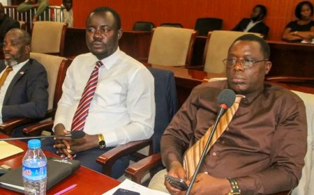 House Joint Committees Begin Scrutiny of ArcelorMittal Third Amendment, Signals Tough Oversight