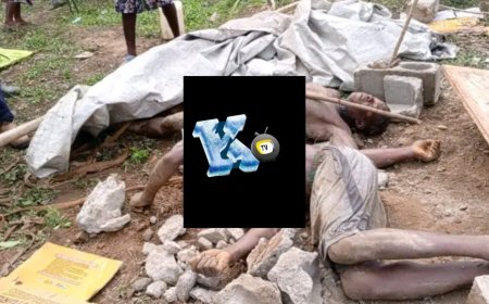 Three Young Men Die Trapped in Oxygen-Starved Well in Robertsville