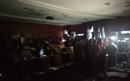 Lights Out at Capitol Hill: House Debates Billion-Dollar Deal With Torchlight