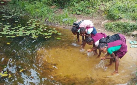 Rubber Company Profits, Town Left Behind: Quiloken Residents Struggle for Clean Water and Safety