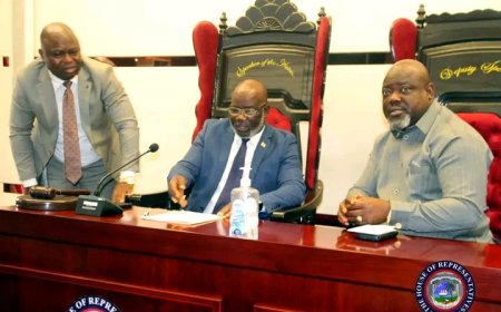 House Cross-Exams Bill to Grant Autonomy to Zwedru Multilateral Institute